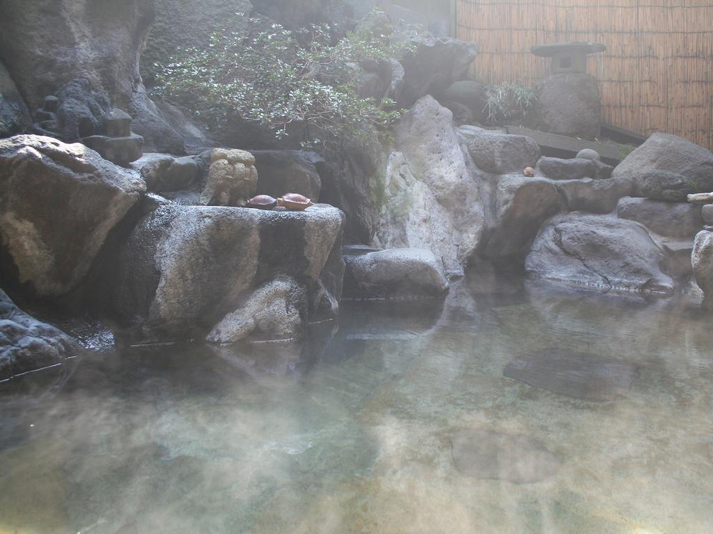 Sumiyosiya Ryokan Nozawaonsen Bagian luar foto